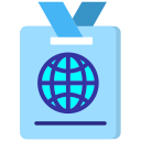 visa icon