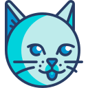 Gato icon