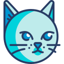 Gato icon