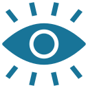 ojo icon