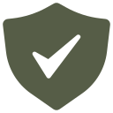 seguridad icon