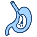 endoscopia icon