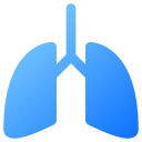 pulmones icon