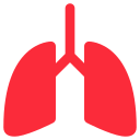 pulmones icon