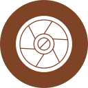 Exposure icon