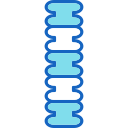 Spine icon