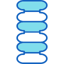 columna vertebral icon