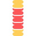 columna vertebral icon