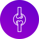 disco herniado icon