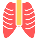 tórax icon