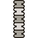 columna vertebral icon