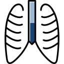 tórax icon