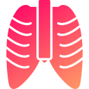 tórax icon