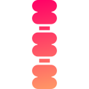 columna vertebral icon