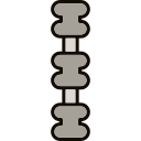 columna vertebral icon