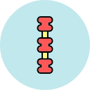 columna vertebral icon