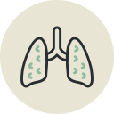 sistema respiratorio icon