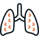 sistema respiratorio icon