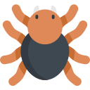 Tarántula icon