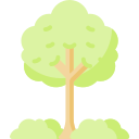 árbol icon