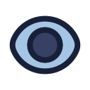 ojo icon