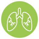 pulmones icon