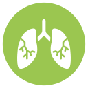 pulmones icon