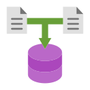 recopilación de datos icon