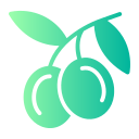 aceitunas icon