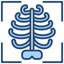 radiología icon