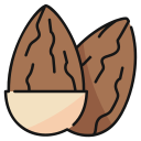 almendra icon