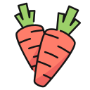 zanahorias icon