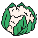 coliflor icon