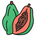 papaya icon