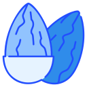 almendra icon