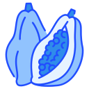 papaya icon