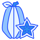 fruta estrella icon