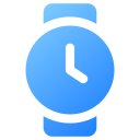 reloj icon