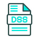 dss icon