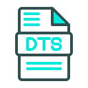 dts icon