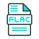 flac icon