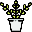 Planta icon