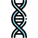 Dna