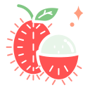 rambután icon