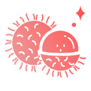 fruta del rambután 