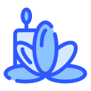 aromaterapia icon