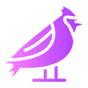 pájaro icon