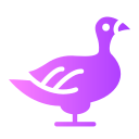 patos icon