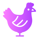 gallina icon