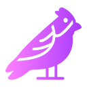 pájaro icon